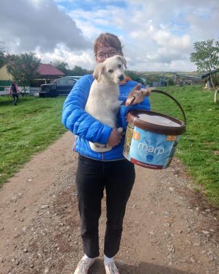 Už pár dní zlobí v novém domově Bazinga. Trošičku jsem zapomněla dát vám to vědět. A protože panička zatím nevolala o...