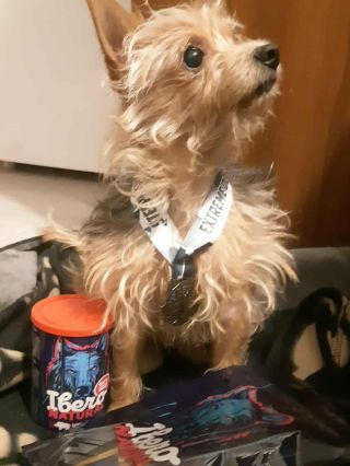 Lilinka, původně strašpytlík od seniorky, nyní frajerka co s dočasnou tetou Míšou vymetá semináře, tréninky a teď si...