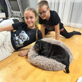 Maxíček u nás na mopsíka pobyl dost dlouho. Proč to? Za prvně je to mops s názorem, za druhé má dost rychlé 💩, někdy...