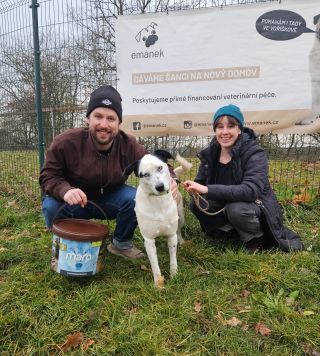 Další skvělá zpráva je tu. Maminka od štěňátek, modrooká Bonnie, našla domov také. Tahle holka je naprosto dokonalá a svým...