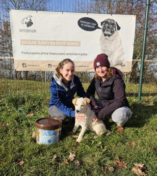 Bungee má už také svůj domov 🩵 Počkal si, ale udělal dobře. Moc dobře. Raubíře jako on nezvládne každý. A tak bylo nutné...