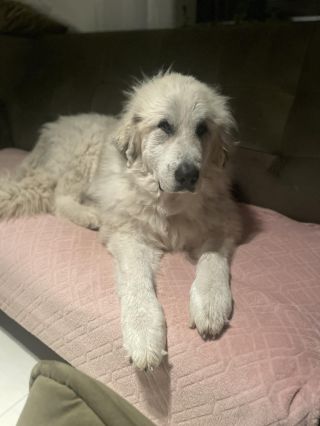 EDIT: Vyřešeno. Všem moc děkujeme ❤️ Dárců krve je dlouhodobě nedostatek, pokud by chtěl někdo darovat, v krevní bance...