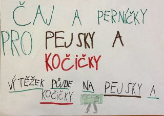 Vy všichni tady pro nás děláte tolik dobrého a my si to moc dobře uvědomujeme a velmi vám za to děkujeme. Naše snaha by...