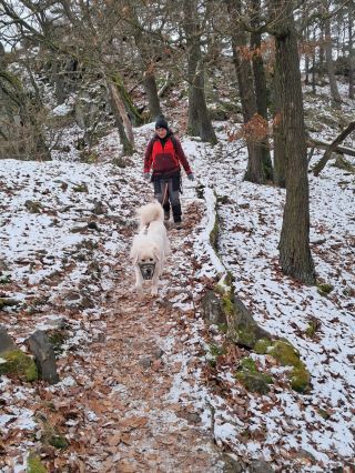 Snad jste si všichni užili dnešní, tak trochu vyjímečný, den minimálně tak jako náš Sebík s Pixie. Vyrazili společně na...