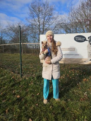 Nový domov našla po všech zdravotních peripetiích domov, kde je milovanou i se všemi svými “ale” a vrčením, malinká...