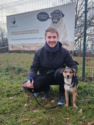 Tihle dva se hledali až se našli 🤩 Vidíte tu stejnou jiskru v oku! Goussík našel domov a na Vánoce tak bude pěkně v...