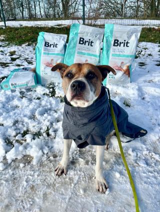 Marley by chtěl za všechny naše psí svěřence poděkovat @emanek_cz za obrovskou podporu v tomto roce. Emánek zaplatil...