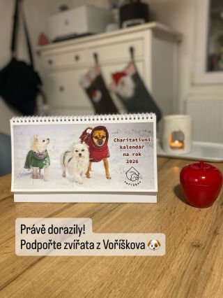 Co se nám tady upeklo? 🍪 Kalendář Voříškov 2026, který mění životy 💫 Je plný fotek pejsků, kočiček a dalších zvířátek,...