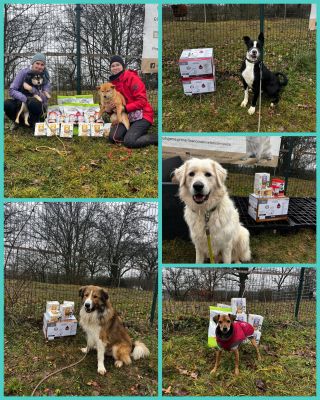 Moc vám všichni děkujeme za plná bříška. Díky projektu Psí přání @nadacnifondpesvnouzi dostali od hodných lidí Sebík,...