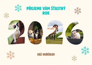 PF 2026 Ať vás po celý rok provází kočičí zvědavost a hbitost, psí věrnost a láska, koňská síla a elegance a králičí...